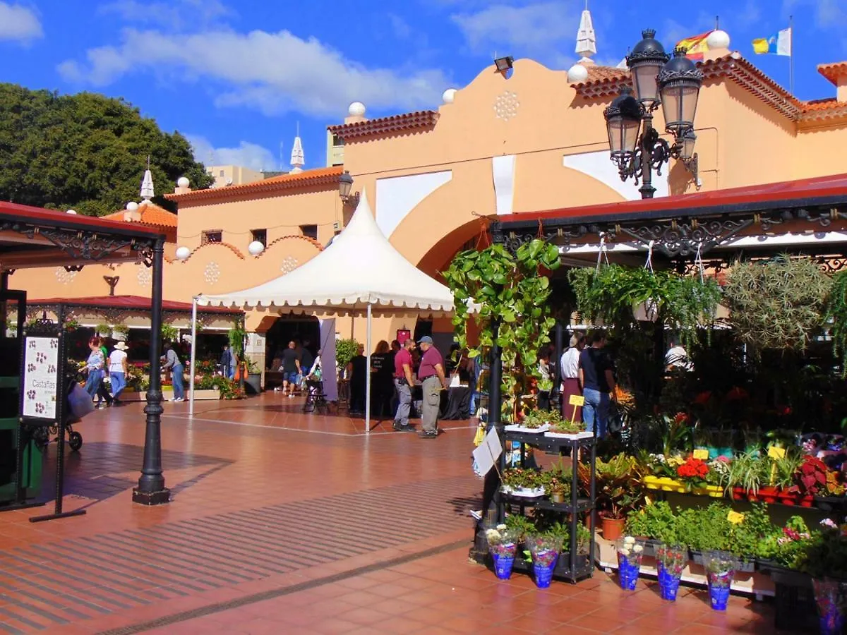 Appartamento Casa Papagayo Santa Cruz de Tenerife Spagna